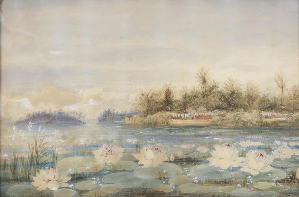Andrew Nicholl's watercolour of white water lilies on a lake in Ceylon, a wooded far shore beyond.