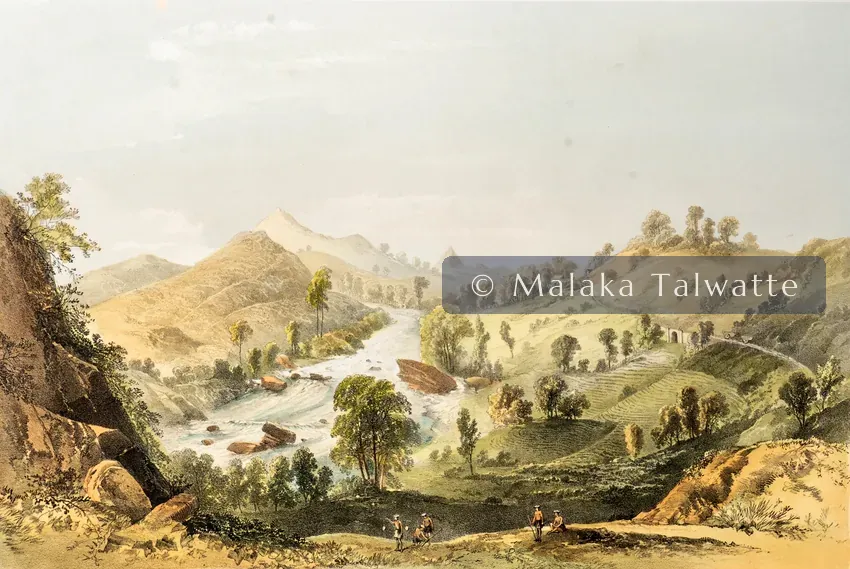 Captain Charles O'Brien: Adam's Peak from the Yatteantotte Road.