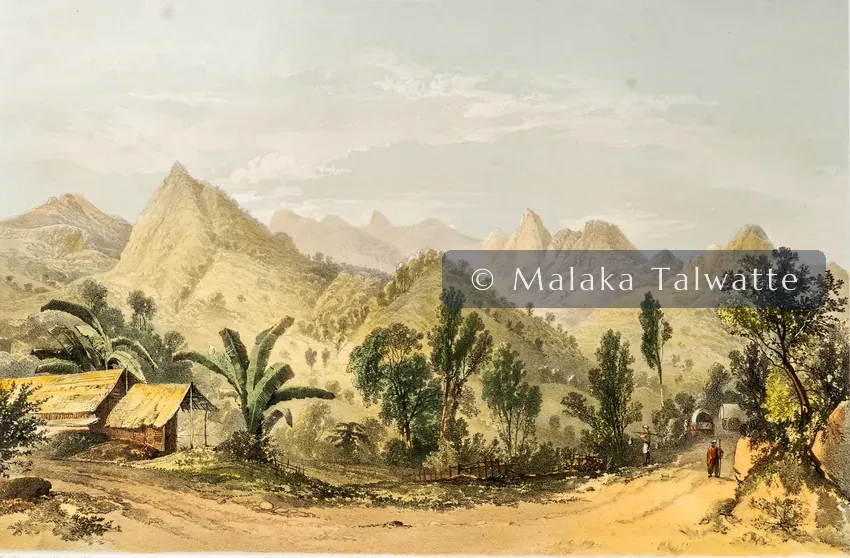 Captain Charles O'Brien: Adam's Peak from the Ambogammoa Road, at Pusbage.