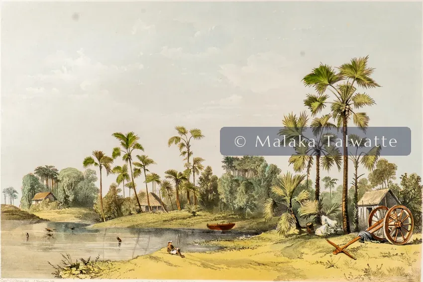 Captain Charles O'Brien: Ferry on the Road from Manaar to Colombo.