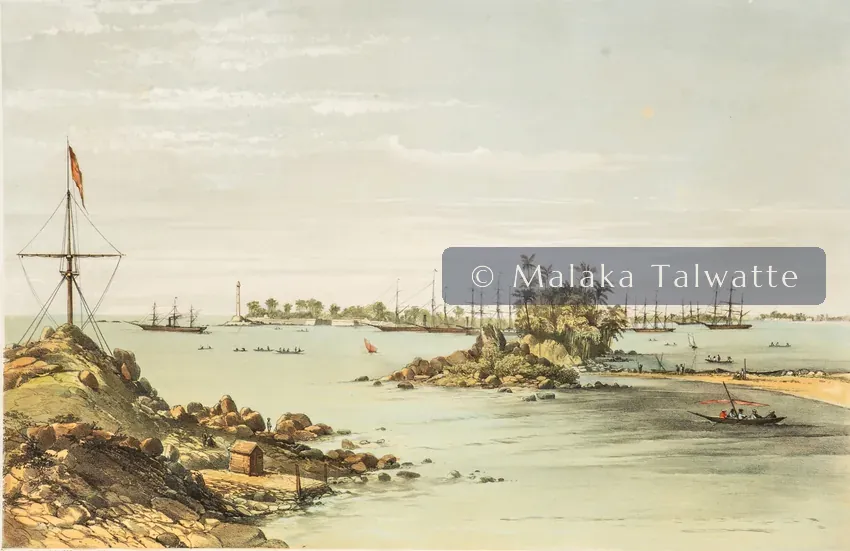 Captain Charles O'Brien: Galle.