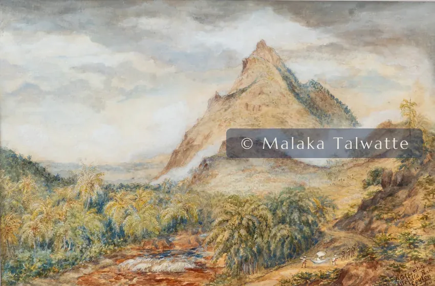 Constance Gordon-Cumming: A Coffee estate at Allegalla Peak, Ceylon.