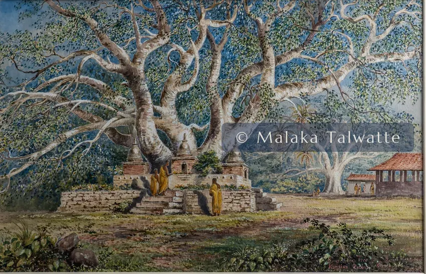 Constance Gordon-Cumming: Sacred Bo Tree at the Burial Place of the Kandian Queens, Kandy.