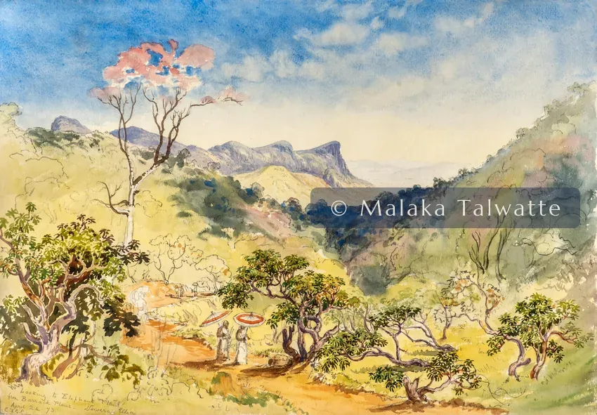Constance Gordon-Cumming: Looking to Elephant Plains From Barrack Plains, Newera Ellia.