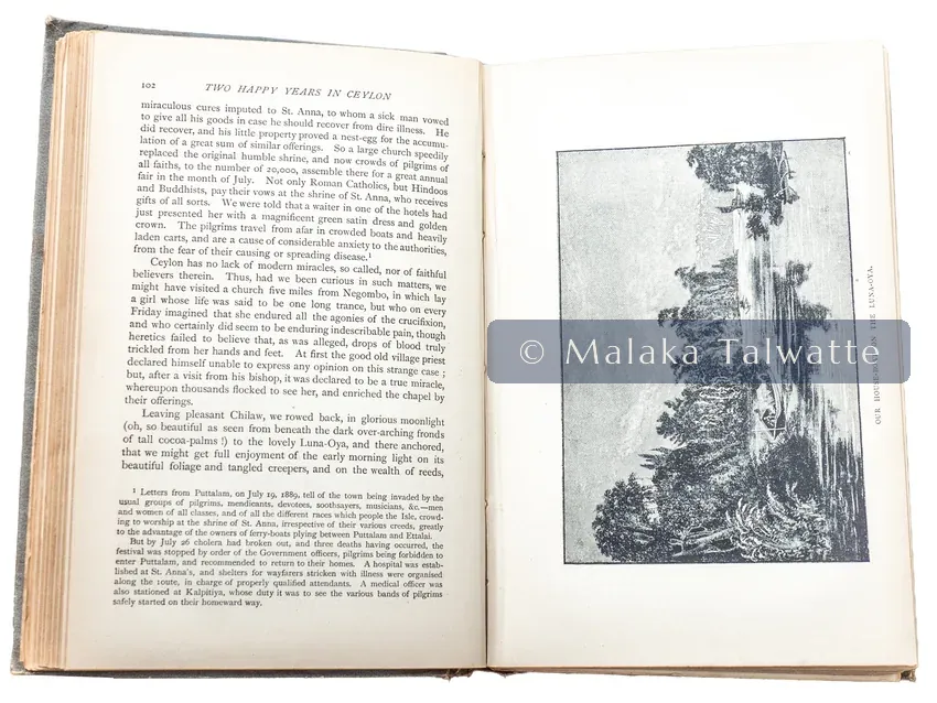 A work by Constance Frederica Gordon-Cumming from the Talwatte Collection