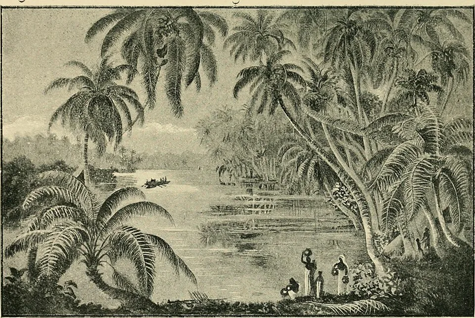 An engraving of a Ceylon palm grove by still water, from Constance Gordon-Cumming's account of the island.