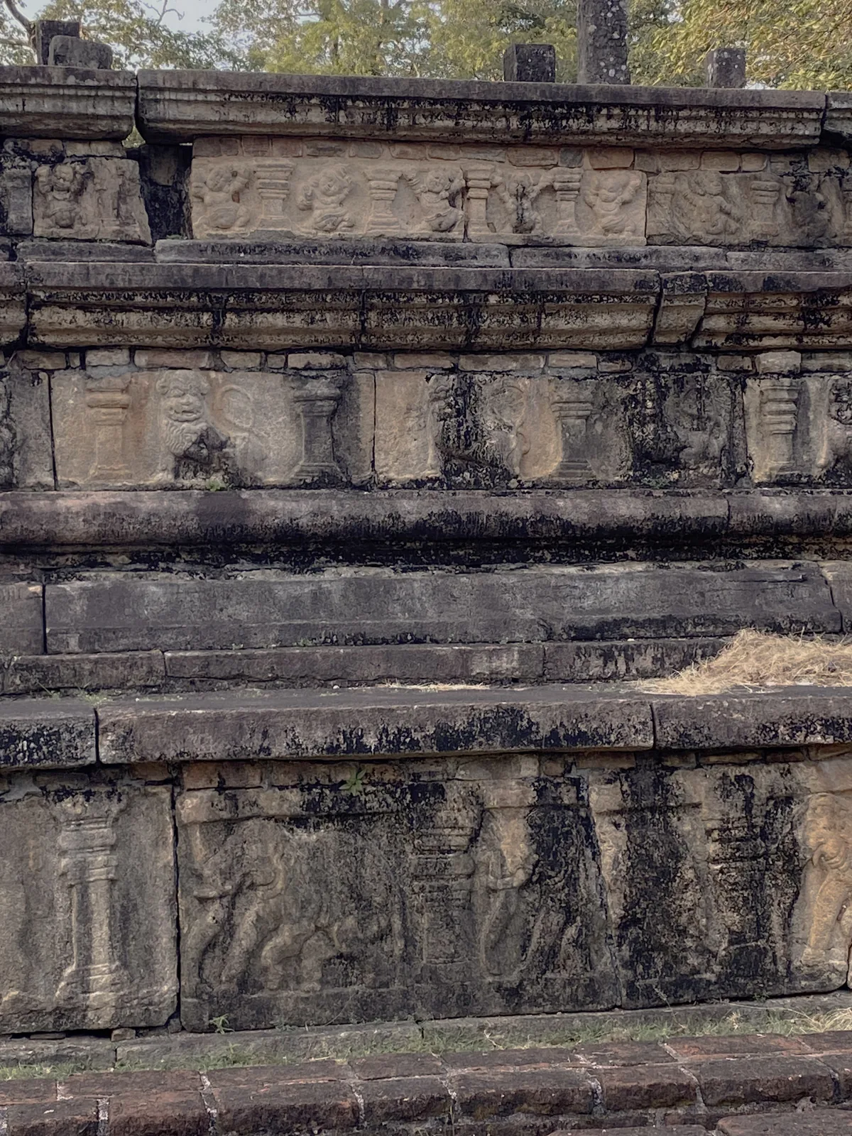 A close view of the carved plinth friezes of the Polonnaruwa council chamber: a band of dwarfs above, a band of lions, and a lower band of elephants, each figure varied.
