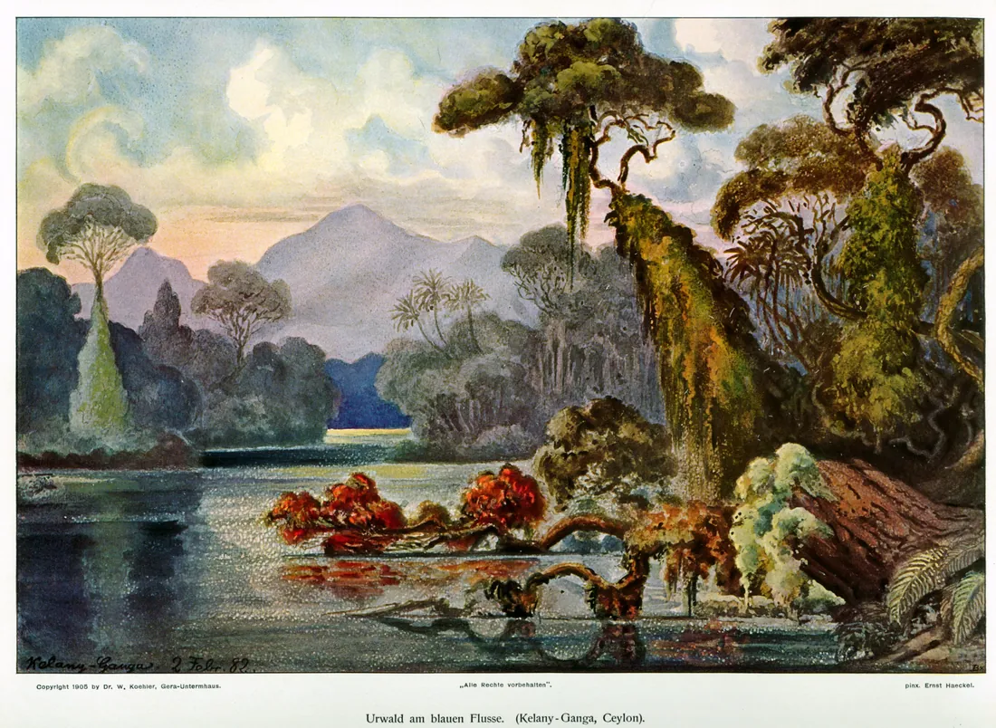 Ernst Haeckel's landscape of the Kelani Ganga in Ceylon, a jungle river winding beneath blue hills at dusk, tall forest trees hung with creepers along the banks.