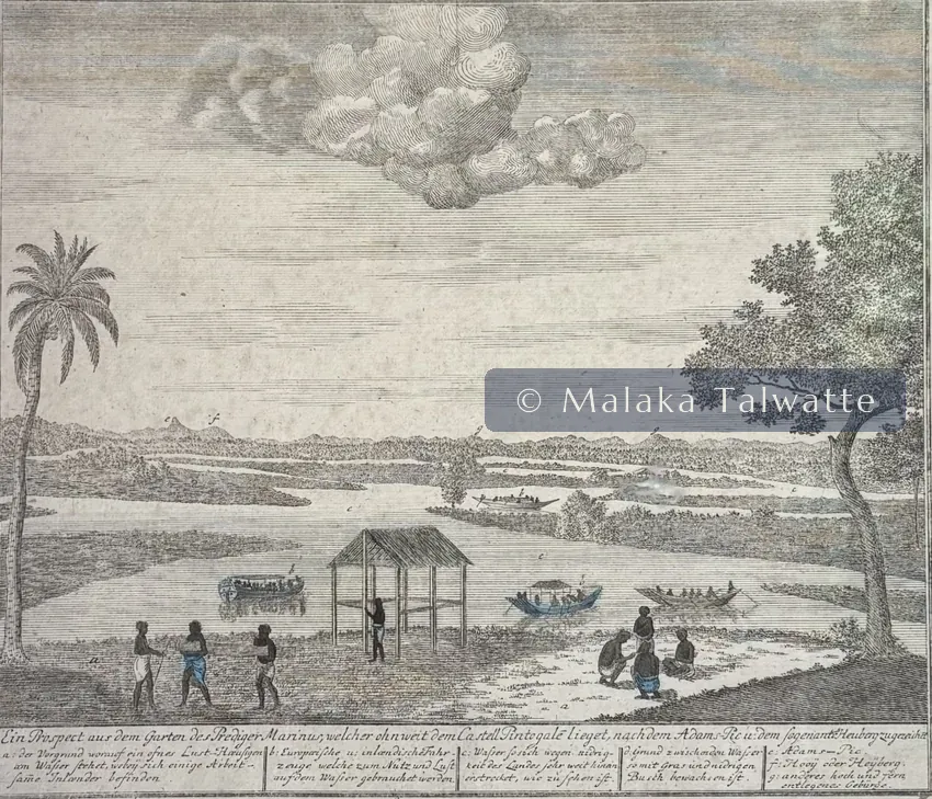 An eighteenth-century engraving by Johann Wolfgang Heydt of a Ceylon coastal view, from the Talwatte Collection.