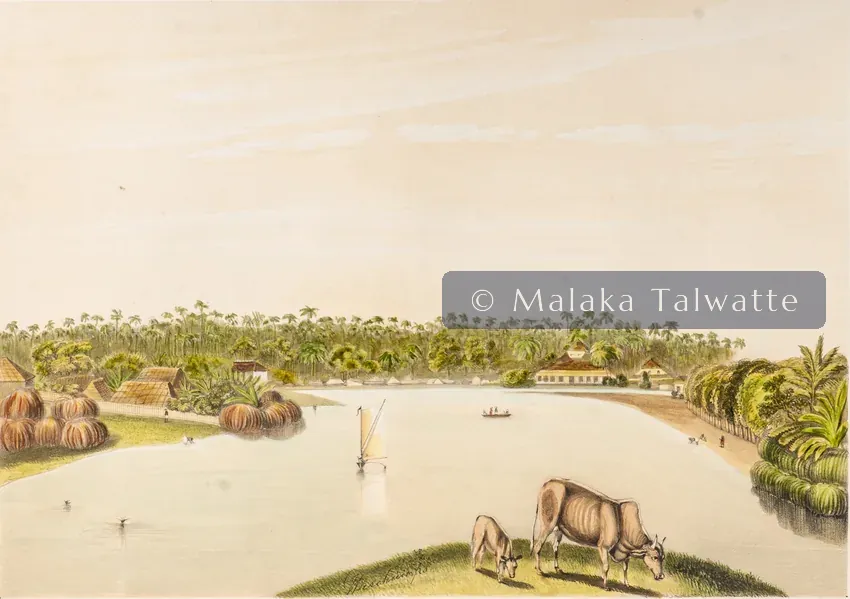 John Deschamps: The Lake and Slave Island, From the Glacis.