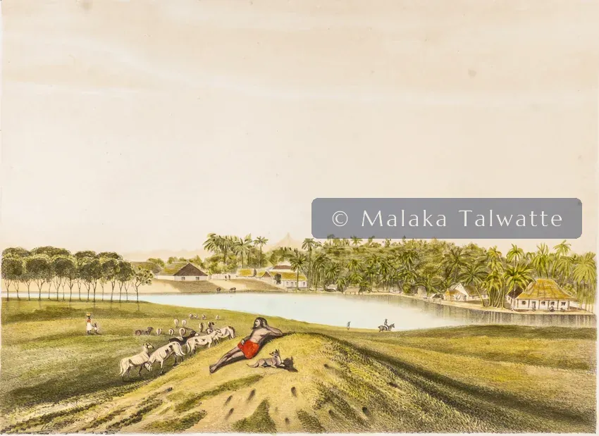 John Deschamps: Adam's Peak and Slave Island, From the Galle-Face Esplanade.