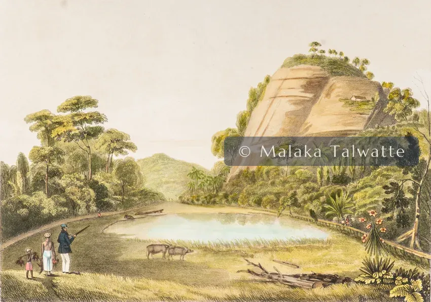 John Deschamps: The Rock of Mulkirrigalle.