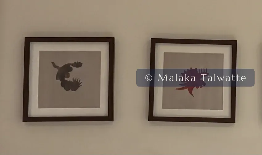 A work by Muhanned Cader from the Talwatte Collection