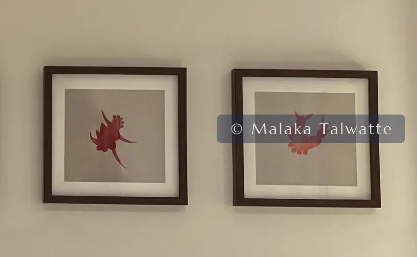 A work by Muhanned Cader from the Talwatte Collection