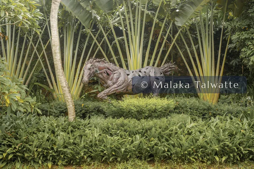 A work by Prageeth Manohansa from the Talwatte Collection