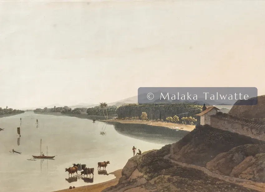 Samuel Daniell's 1808 aquatint: View of Caltura.
