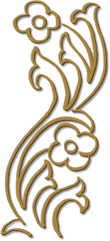 Line drawing of a floral scroll from a somana cloth border.