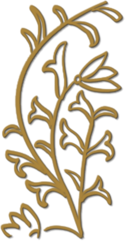 Line drawing of a floral scroll from a somana cloth border.