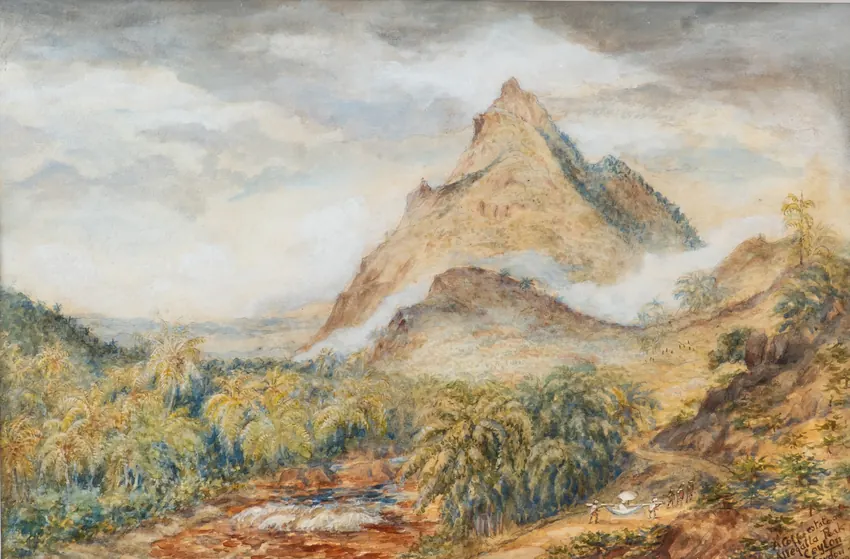 Constance Gordon-Cumming: A Coffee estate at Allegalla Peak, Ceylon.