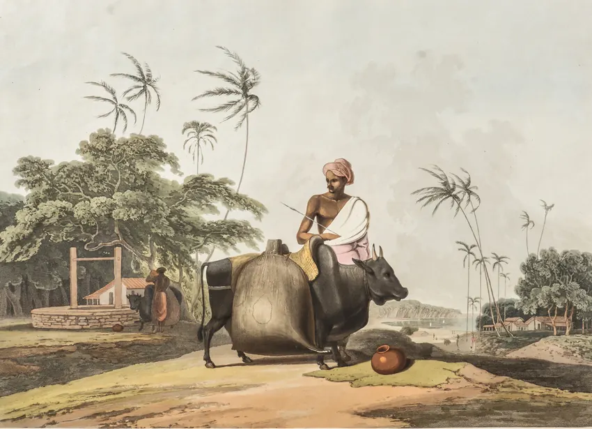 Samuel Daniell's 1808 aquatint: The Water Carrier.