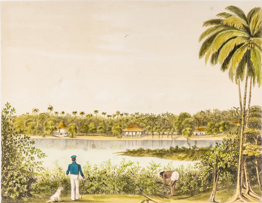 John Deschamps: Colpitty, from the Cinnamon Gardens.