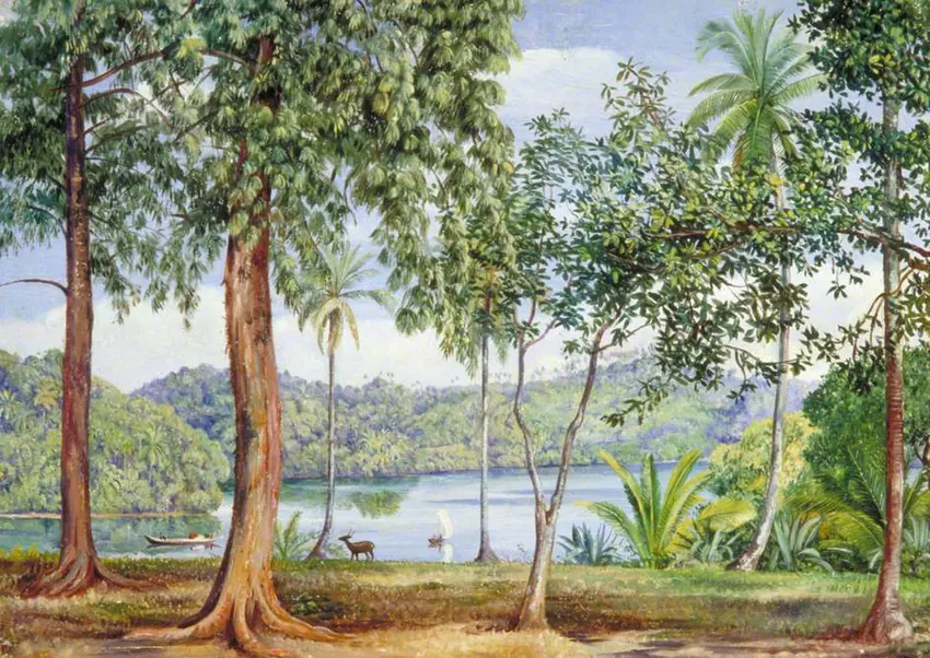 Marianne North's oil painting: a lagoon framed by tall trees at Kalutara, with a deer and boats.