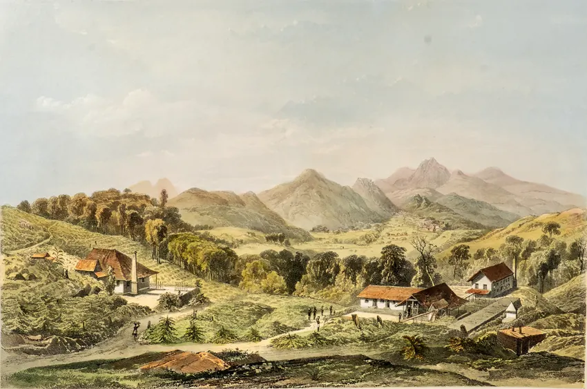 Captain Charles O'Brien: Coffee Estate.