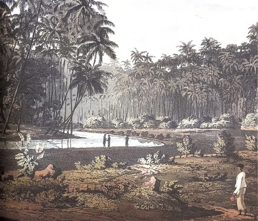 Henry Salt's 1809 aquatint view near Point de Galle, groves of coconut palms about a still stretch of water with small figures.