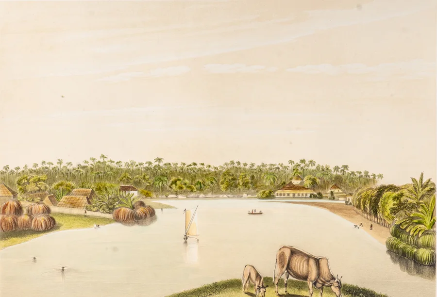 A nineteenth-century view of a Ceylon village beside still water.