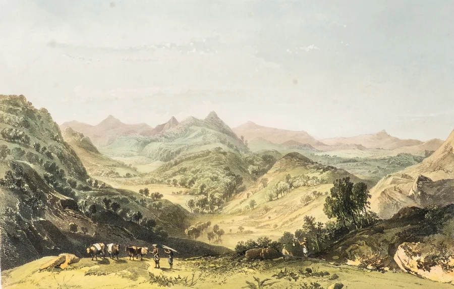 A nineteenth-century view of a Ceylon hill landscape with grazing cattle.